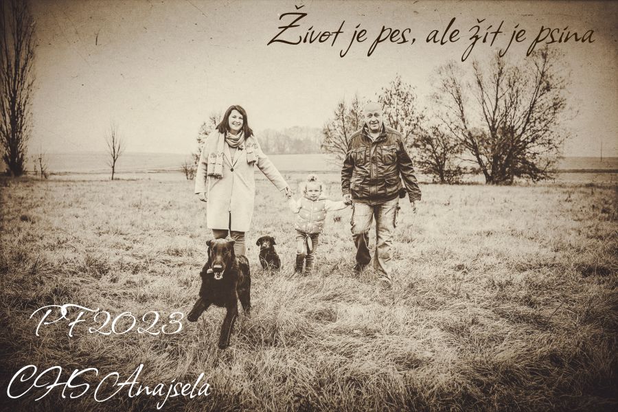 Flat Coated Retriever Anajsela