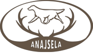 Flat Coated Retriever Anajsela