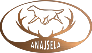 Flat Coated Retriever Anajsela